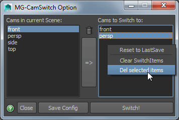 camSwitch_en