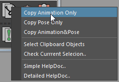 copyPastePro_copyOption_en